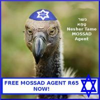 Sofortige Freiheit für Mossad Agent R65!